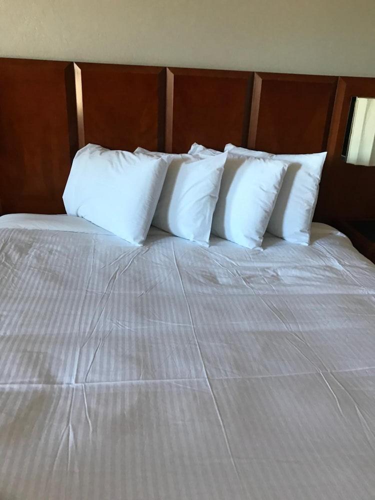 Extend A Suites Phoenix 피닉스 외부 사진